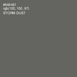 #646461 - Storm Dust Color Image